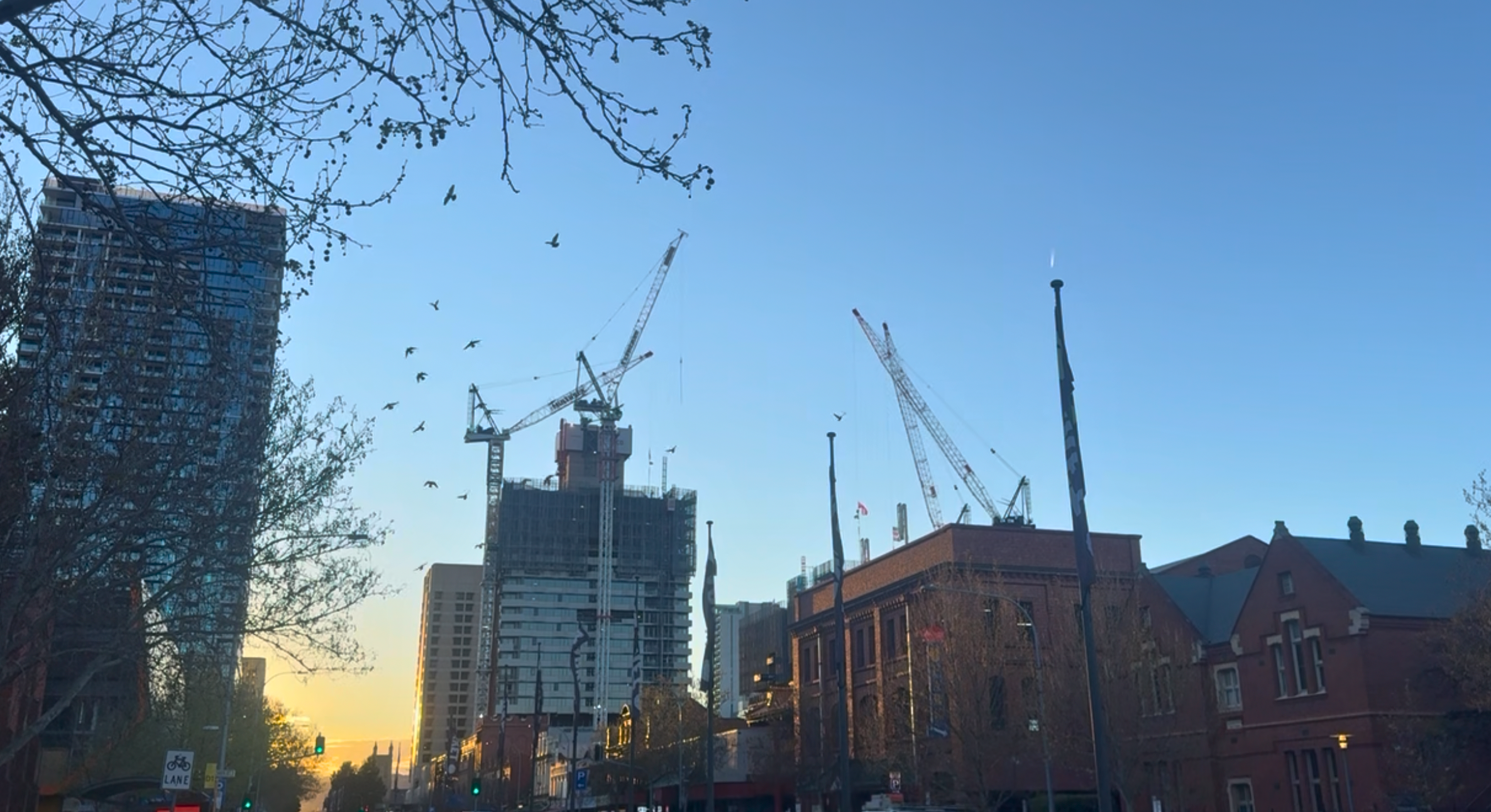 Adelaide jobsite — steel and timber in progress.